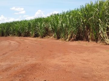 Fazenda  Venda